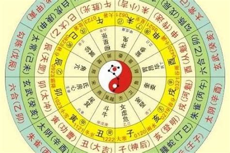 硨磲五行|【硨磲 五行】想知道自己的幸運手串嗎？快來測測你的硨磲五行。